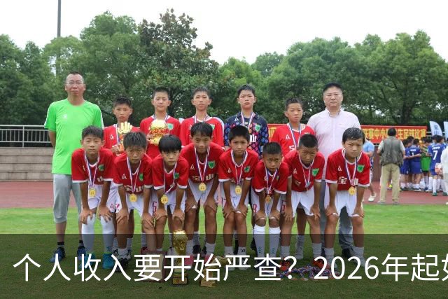个人收入要开始严查?2026年起如果账户收入超过这个数,注意下准没坏处。