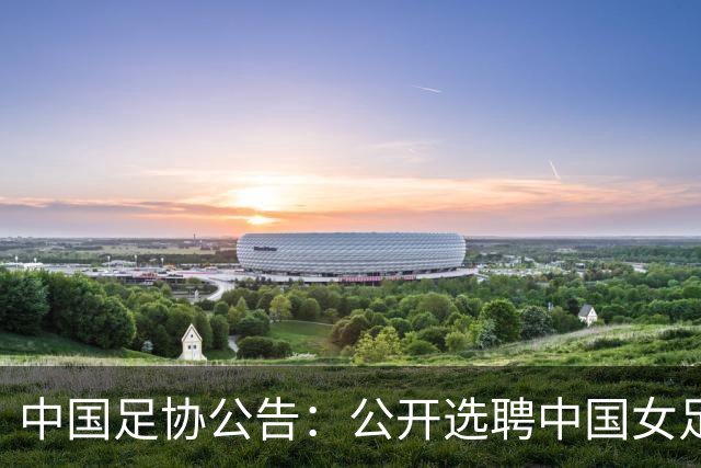 中国足协公告：公开选聘中国女足主教练，年龄原则上应在55周岁以下，执教实绩突出、大赛经验丰富者可适当放宽，国籍不限