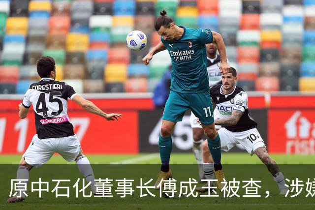 原中石化董事长傅成玉被查，涉嫌严重违纪违法