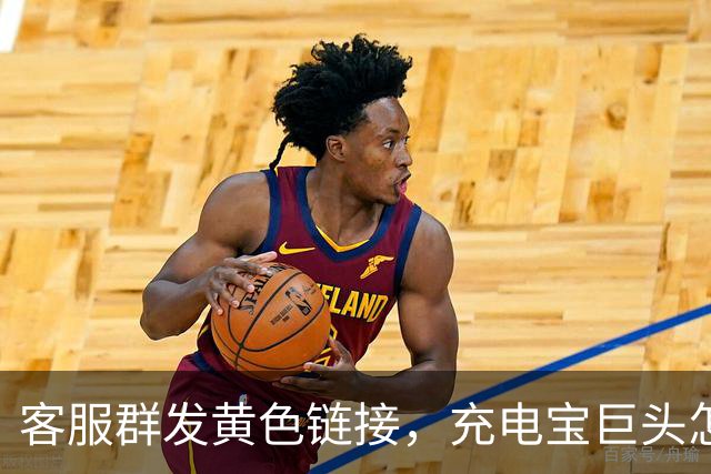 客服群发黄色链接,充电宝巨头怎么了?