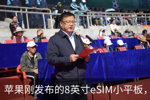 苹果刚发布的8英寸eSIM小平板,这价格是疯了吧
