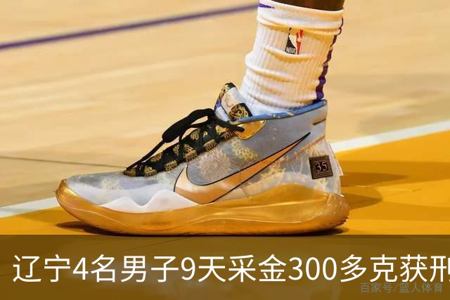 辽宁4名男子9天采金300多克获刑,村里砂土为何能淘金?土法筛金对人体和环境有何危害?