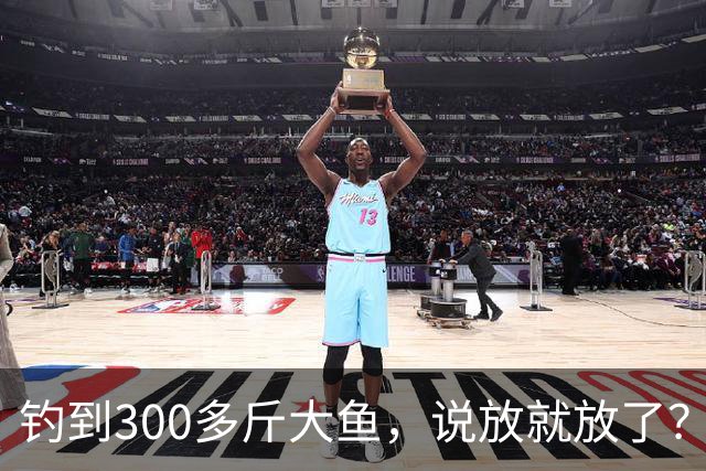 钓到300多斤大鱼，说放就放了？