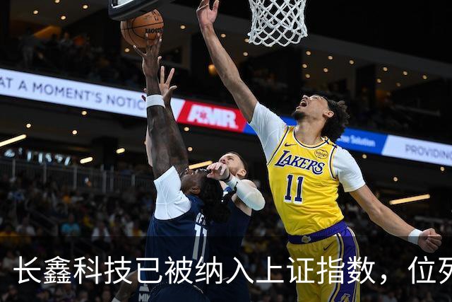 长鑫科技已被纳入上证指数，位列第一大权重股